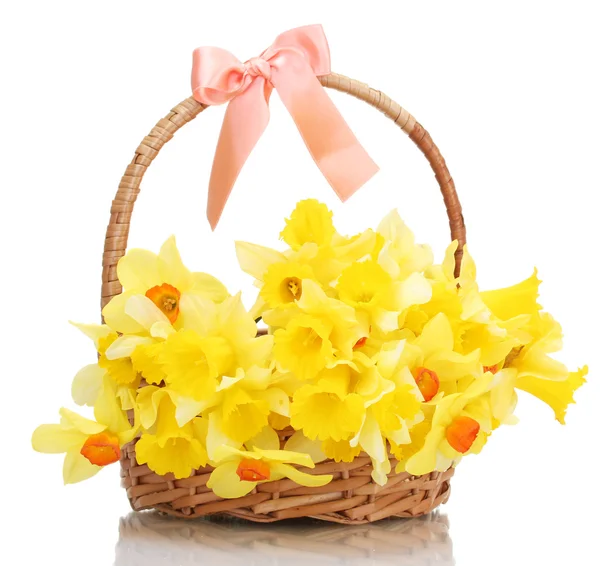 Όμορφο κίτρινο daffodils σε καλάθι με τόξο που απομονώνονται σε λευκό — Φωτογραφία Αρχείου