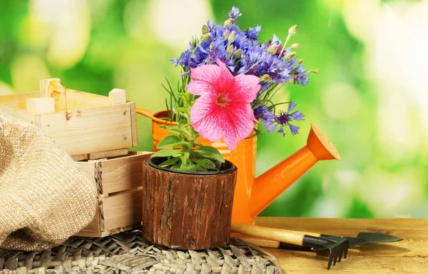 Konev, nástroje a květiny na dřevěný stůl na zeleném pozadí — Stock fotografie