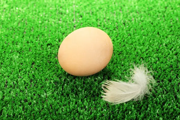 Uovo marrone sul prato primo piano — Foto Stock