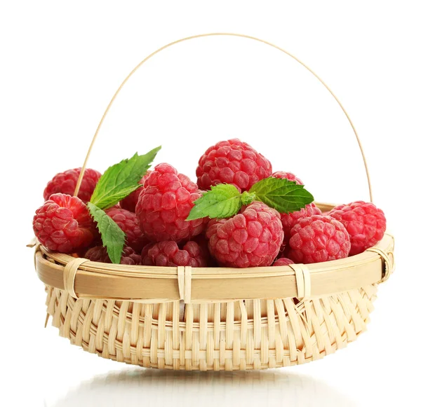 成熟树莓在薄荷上白色隔离带篮 — 图库照片