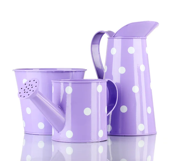 Purple watering can and buckets with white polka-dot isolated on white — Stock Photo, Image