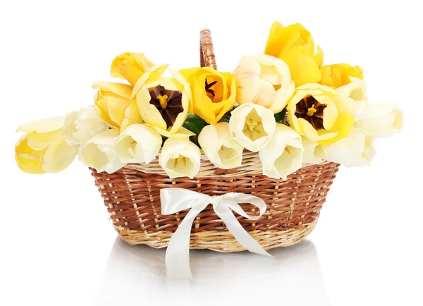 Beautiful tulips in basket isolated on white — Stock Photo, Image