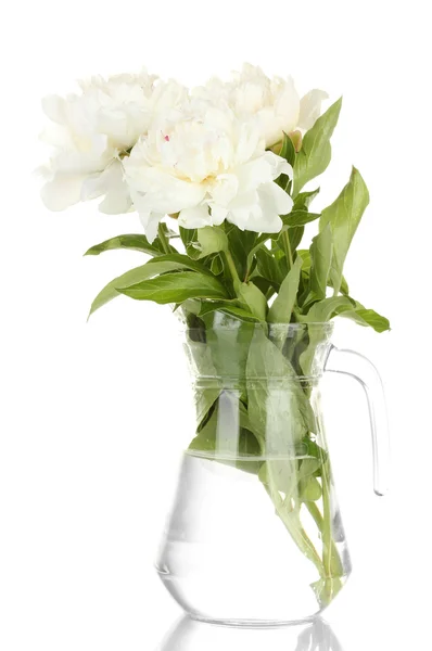 Όμορφο λευκό peonies σε γυάλινο βάζο με τόξο που απομονώνονται σε λευκό — Φωτογραφία Αρχείου