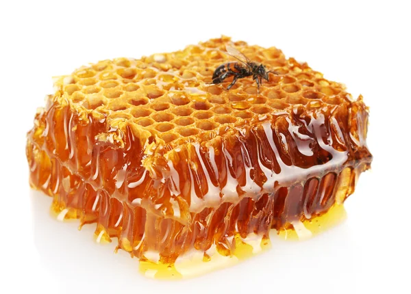 Zoete honingraat met honing en bijen, geïsoleerd op wit — Stockfoto