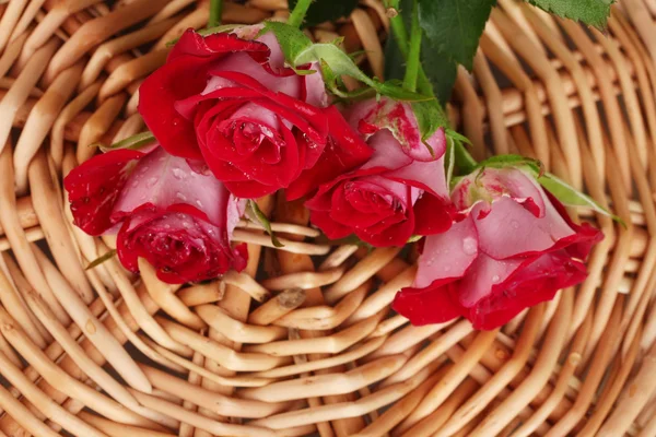Lindas rosas vinosas no tapete de vime close-up — Fotografia de Stock