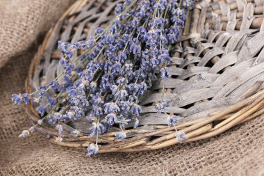 Lavender flowers on sackcloth