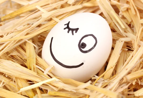 Saman içinde komik suratını ile beyaz yumurta — Stok fotoğraf
