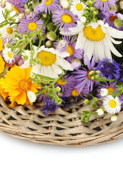 Beautiful bouquet of bright wildflowers, isolated on white — Stock Photo, Image