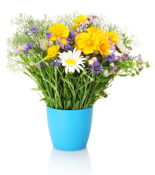 Красивый букет ярких полевых цветов в цветочном горшке, изолированные на белом — стоковое фото