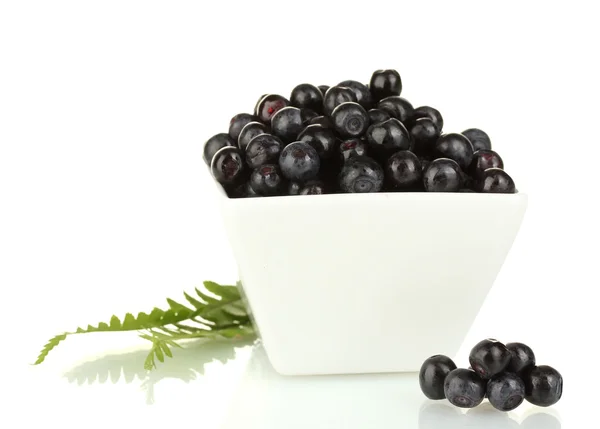 Fresh blueberries in white bowl isolated on white — Stock Photo, Image