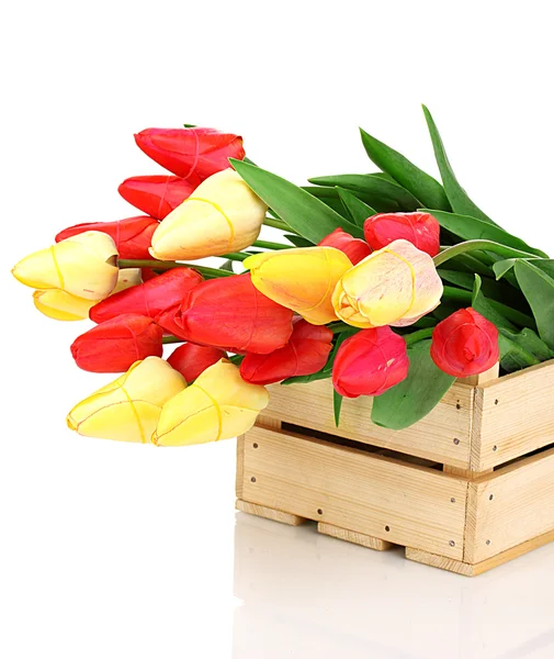Hermosos tulipanes en caja aislada en blanco — Foto de Stock