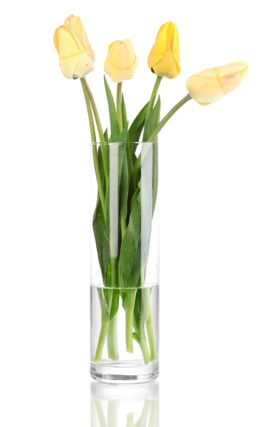 Schöne Tulpen in der Vase isoliert auf weiß — Stockfoto