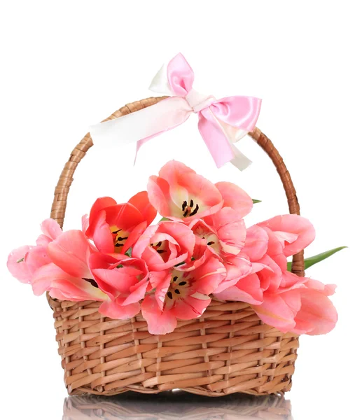 Vacker rosa tulpaner i korg isolerad på vit — Stockfoto