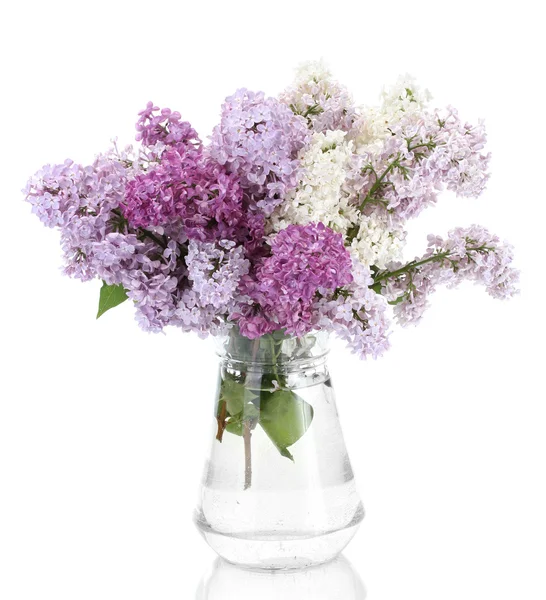 Hermosas flores lila en frasco de vidrio aislado en blanco — Foto de Stock