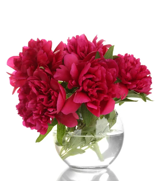 Mooie roze pioenrozen in glazen vaas geïsoleerd op wit — Stockfoto