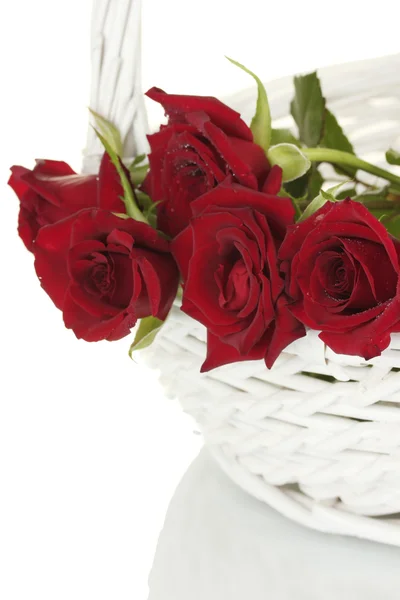 Όμορφα κόκκινα τριαντάφυλλα σε ένα λευκό καλάθι σε ένα κοντινό πλάνο λευκό φόντο — Φωτογραφία Αρχείου