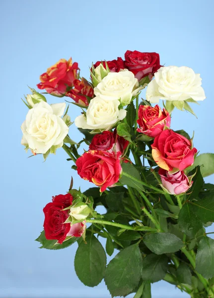 美丽的玫瑰上蓝色背景特写的花束 — 图库照片