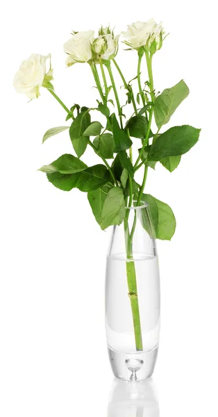 Belles roses dans un vase en verre isolé sur blanc — Photo