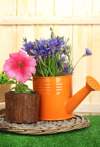 Regar lata e plantas em vasos de flores na grama no fundo de madeira — Fotografia de Stock
