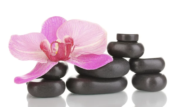 Piedras de spa con flor de orquídea aislada en blanco —  Fotos de Stock
