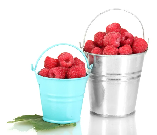 Fresh raspberries in buckets isolated on white — Stock Photo, Image