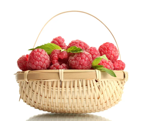 成熟树莓在薄荷上白色隔离带篮 — 图库照片