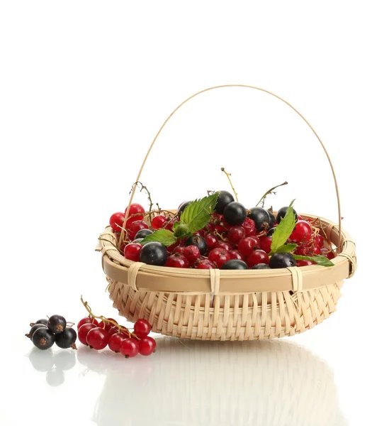Спелые ягоды с мятой в корзине изолированы на белом — стоковое фото