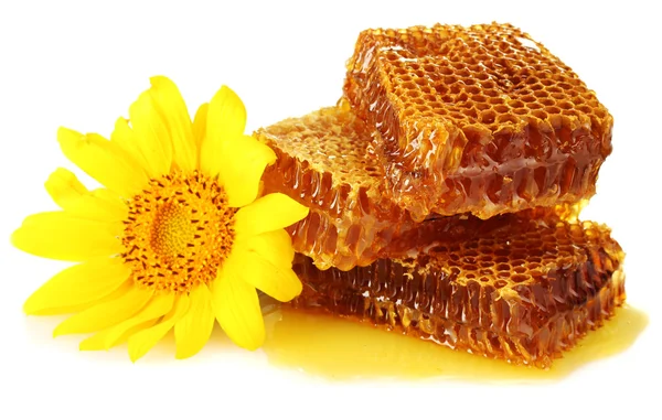 Sweet honeycombs with honey and sunflower, isolated on white — Stock Photo, Image