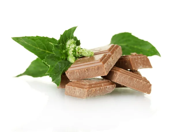 Pezzi di cioccolato e menta isolati su bianco — Foto Stock