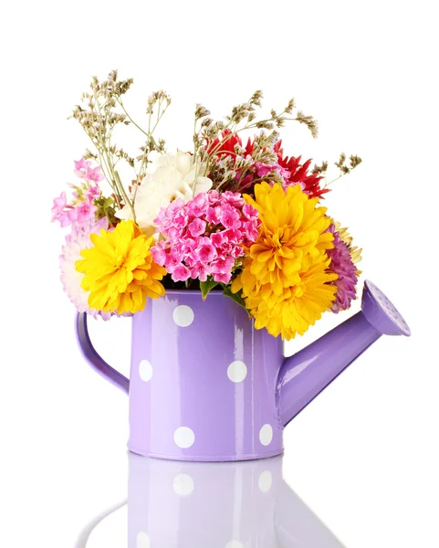 Purple watering can with white polka-dot with flowers isolated on white — Stock Photo, Image
