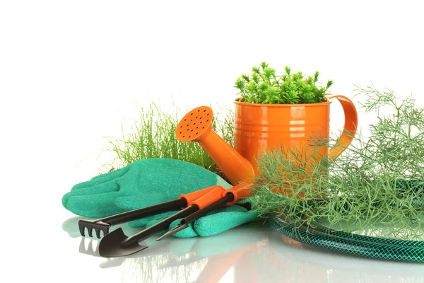 Garden tools on white background close-up Stock Photo
