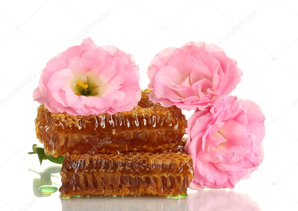 Honeycombs with honey and flowers isolated on white