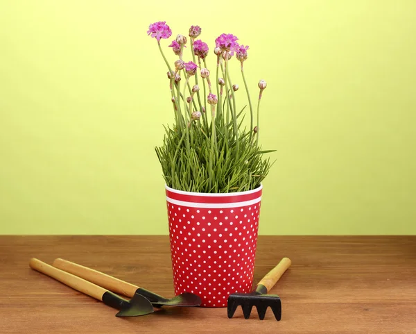 粉色的花在绿色背景上的木桌上的文书用锅 — 图库照片