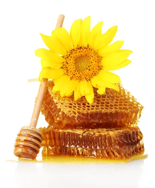 Sweet honeycombs with honey, wooden drizzler and sunflower, isolated on white — Stock Photo, Image