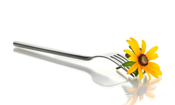 Fork and flower, isolated on white — Stock Photo, Image