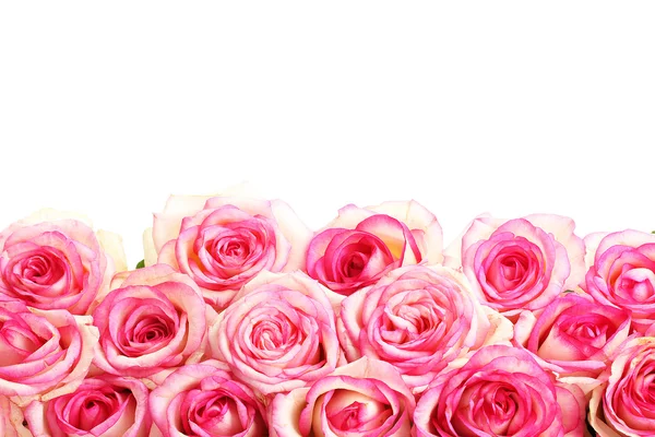 Beau bouquet de roses isolées sur blanc — Photo