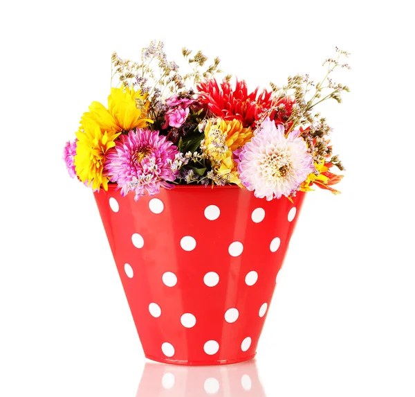 Red bucket with white polka-dot with flowers isolated on white — Stock Photo, Image