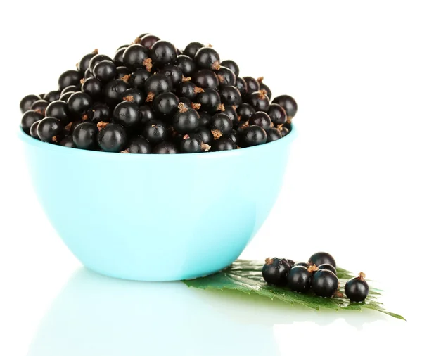 Fresh black currant in blue bowl isolated on white — Stock Photo, Image