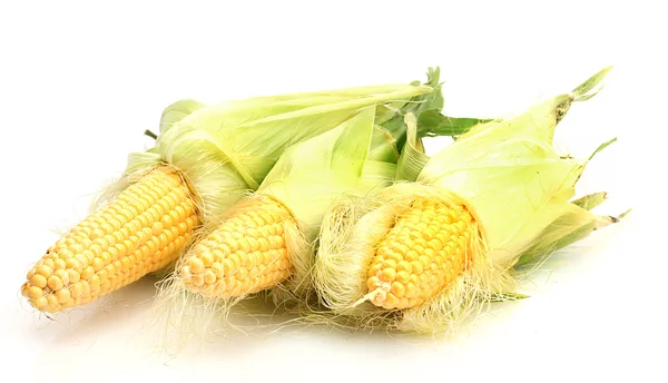用白色隔离的新鲜玉米 — 图库照片