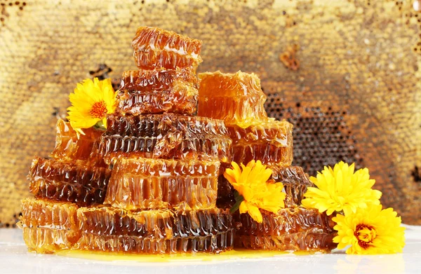 Favos de mel doces com mel e flores, em fundo de favos de mel — Fotografia de Stock