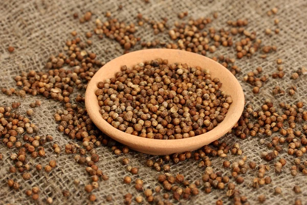 Heap coriander seeds in bowl on canvas background close-up — Stock Photo, Image