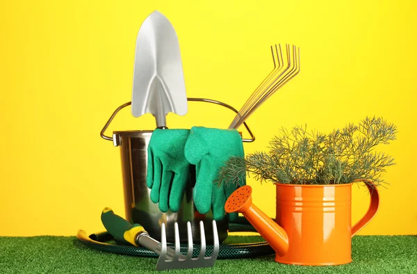 Garden tools on lawn on bright colorful background close-up Stock Image