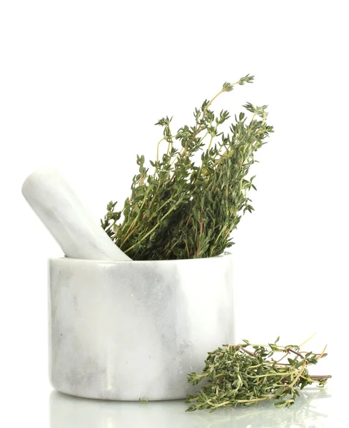 Zaprawy z świeżego tymianku zielony na białym tle — Zdjęcie stockowe