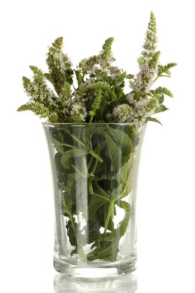 Čerstvé máty s květy v poháru, izolované na bílém — Stock fotografie
