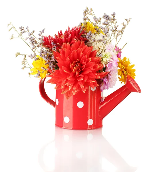 Red watering can with white polka-dot with flowers isolated on white — Stock Photo, Image