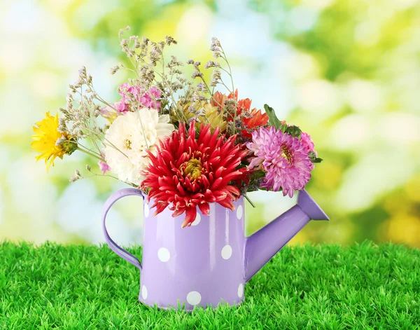 Arrosoir violet à pois blancs avec fleurs sur fond vert — Photo