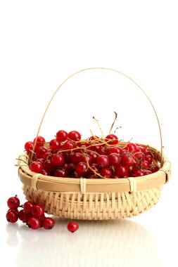 redcurrants üzerinde beyaz izole bir sepet içinde