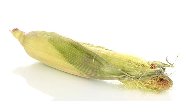 Frischer Maiskolben isoliert auf weiß — Stockfoto