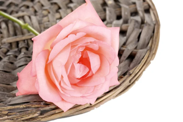 Mooie roos op rieten mat geïsoleerd op wit — Stockfoto
