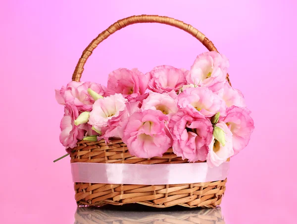 Bouquet of eustoma flowers in basket, on pink background — Stock Photo, Image
